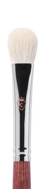 CTR W0519